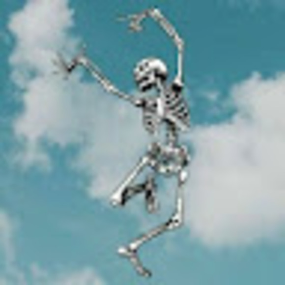 Meet your Posher, Lily - Picture 1 of 1